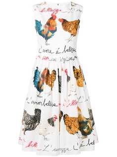 Dolce & Gabbana расклешенное платье с принтом кур