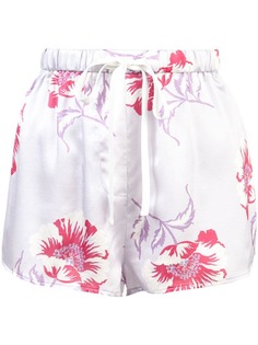 Morgan Lane шорты Martine