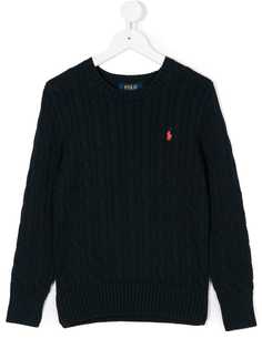 Ralph Lauren Kids джемпер вязки с косичками с логотипом
