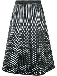 Paskal 3-D print skirt