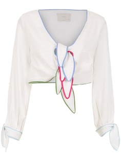 Framed Rainbow cropped top