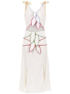 Framed Rainbow midi dress