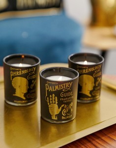 Набор из 3 свечей Temerity Jones - Розовый