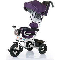 Велосипед BabyHit 3-х колесный Kids Tour фиолетовый