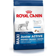 Сухой корм Royal Canin Maxi Junior Active для щенков крупных пород с высокими энергетическими потребностями 15кг (193150)