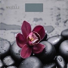 Весы Kelli KL-1521