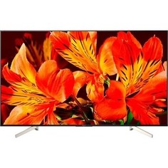 LED Телевизор Sony KD-49XF8596