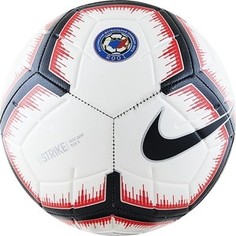 Футбольный мяч Nike Strike РФПЛ SC3514-100 р.5