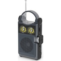 Радиоприемник Ritmix RPR-333 black