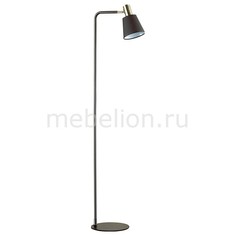 Торшер Marcus 3638/1F Lumion