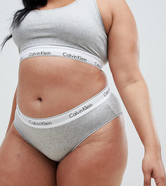 Серые хлопковые трусы большого размера Calvin Klein - Серый