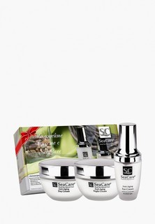 Набор для ухода за лицом SeaCare Антивозрастной №2, Дневной и Ночной крема, Крем для глаз, с Матриксилом и минералами Мертвого моря, 50 мл + 50 мл + 30 мл