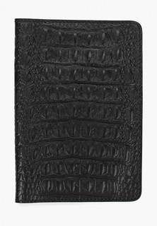 Обложка для паспорта Alexander Tsiselsky 