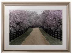 Постер "Apple Blossom Lane"