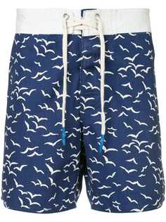 The Upside seagull shorts