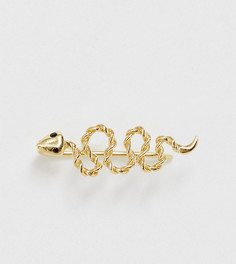 Серьга-кролер из позолоченного серебра со змеей ASOS DESIGN - Золотой