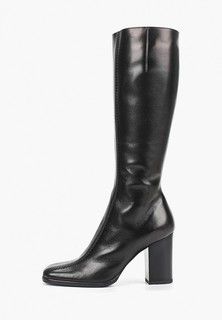 Сапоги Enzo Logana