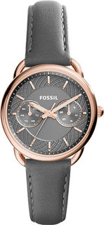 Наручные часы Fossil Tailor ES3913