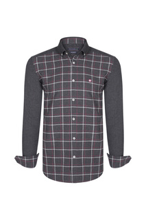 shirt FELIX HARDY