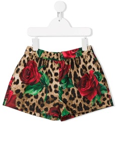 Dolce & Gabbana Kids шорты с леопардовым принтом