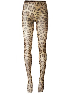 Dolce & Gabbana колготки с леопардовым узором