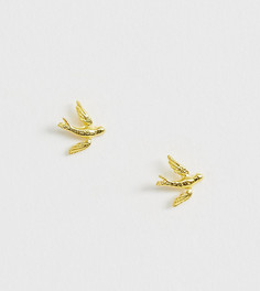 Серебряные позолоченные серьги-гвоздики с дизайном в виде ласточек Kingsley Ryan - Золотой