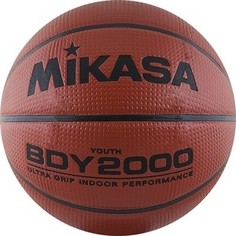Баскетбольный мяч Mikasa BDY2000 р.5