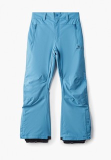 Брюки сноубордические Rip Curl BASE PT