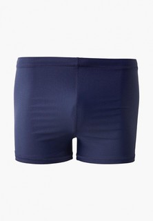 Категория: Пляжная одежда мужская Reebok