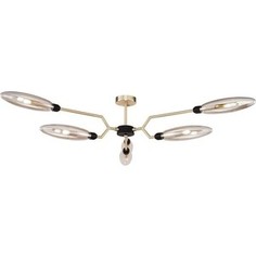 Потолочная люстра Maytoni MOD012CL-06G