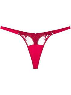 Fleur Of England Wallflower thong