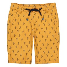 Бермуды-чино с рисунком кактус, 3-12 лет LA Redoute Collections