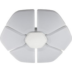 Потолочный светодиодный светильник IDLamp 305/80PF-LEDWhite