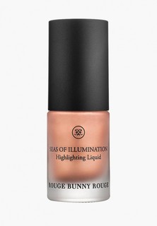 Хайлайтер Rouge Bunny Rouge светоотражающий Highlighting Liquid 09 море дождей