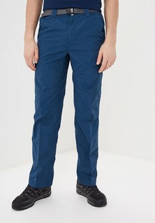 Брюки Columbia Silver Ridge™ Cargo Pant