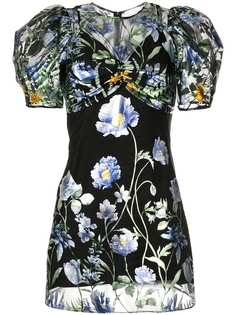 Alice Mccall Snik 3