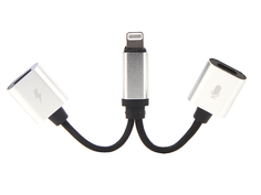 Аксессуар Gurdini Double Lightning Audio + Charge 2A Silver 904450