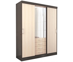 Шкаф-купе Арника