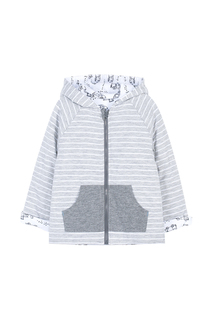 Толстовка Coccodrillo