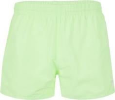 Шорты плавательные мужские Speedo Fitted Leis 13, размер 50-52