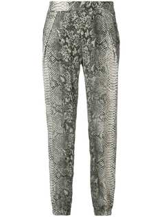 Gold Hawk snake-print trousers