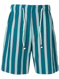 The Silted Company striped deck shorts