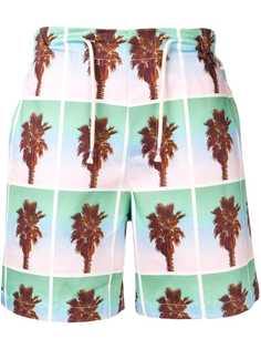 The Silted Company palm tree deck shorts