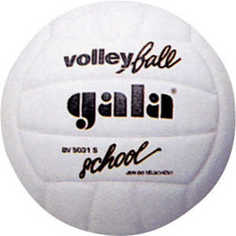 Мяч волейбольный Gala School Foam (BV5031S)