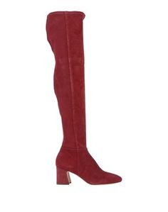 Категория: Сапоги Alexandre Birman