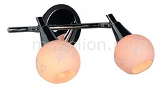 Спот OM-215 OML-21501-02 Omnilux