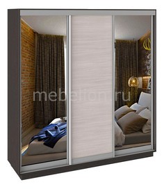 Шкаф-купе Румер СШК 1.210.70-13.11.13 Triya