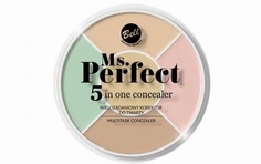 Bell - Многофункциональный корректор для лица Ms.perfect 5inone Concealer