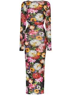 Dolce & Gabbana облегающее платье с цветочным принтом