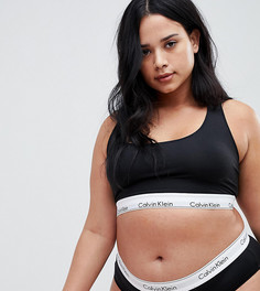 Черный бралетт Calvin Klein Plus Size - Черный